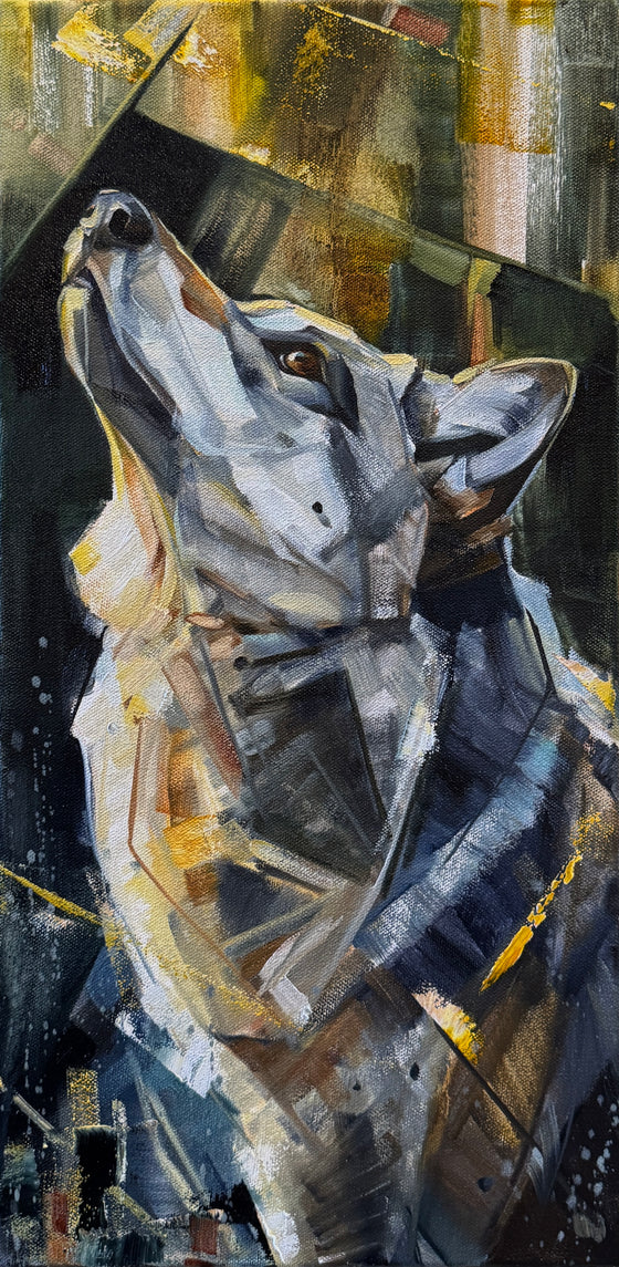 Helio 10x20”