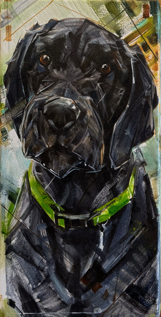 Rango 10x20”