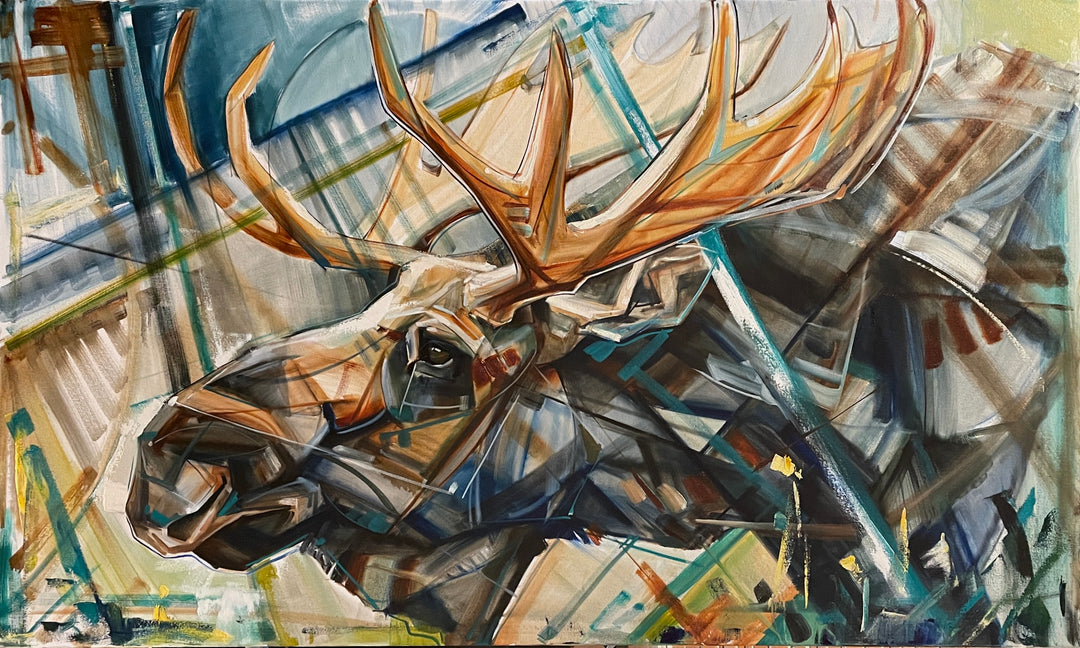 36x60"