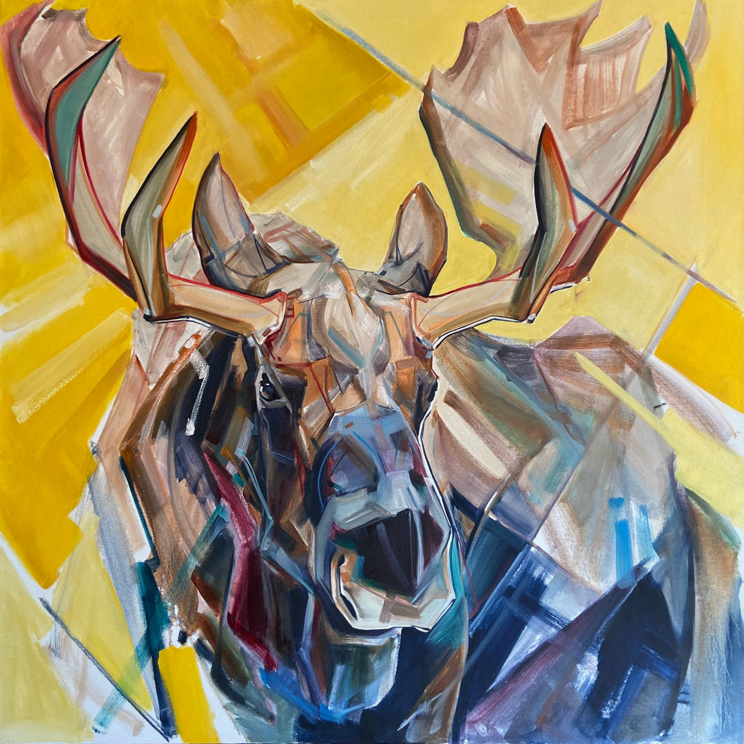 40x40"
