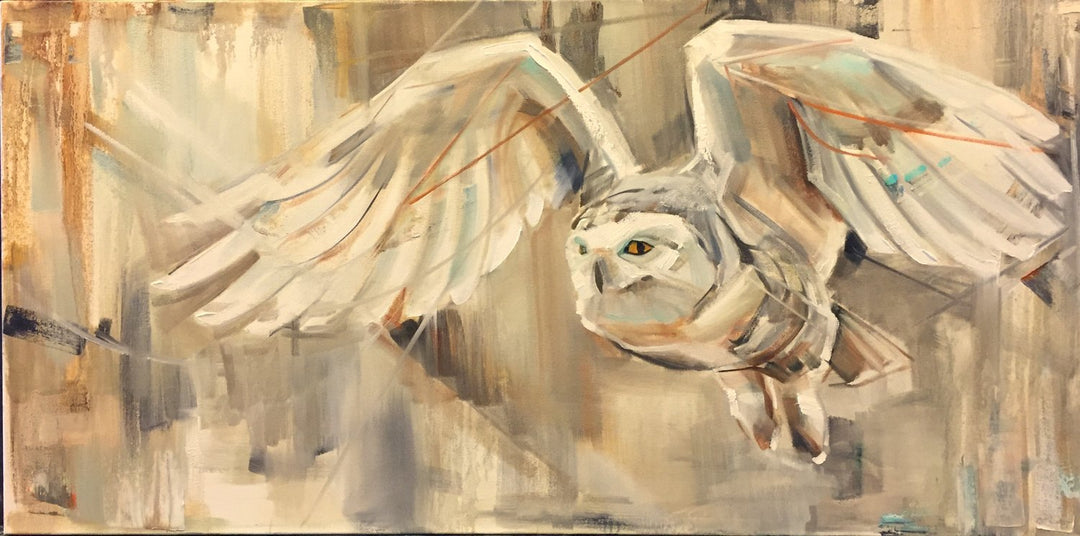 20x40"