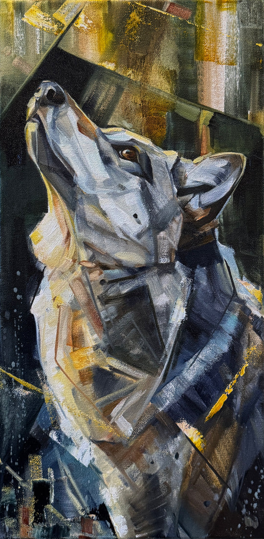 Helio 10x20”