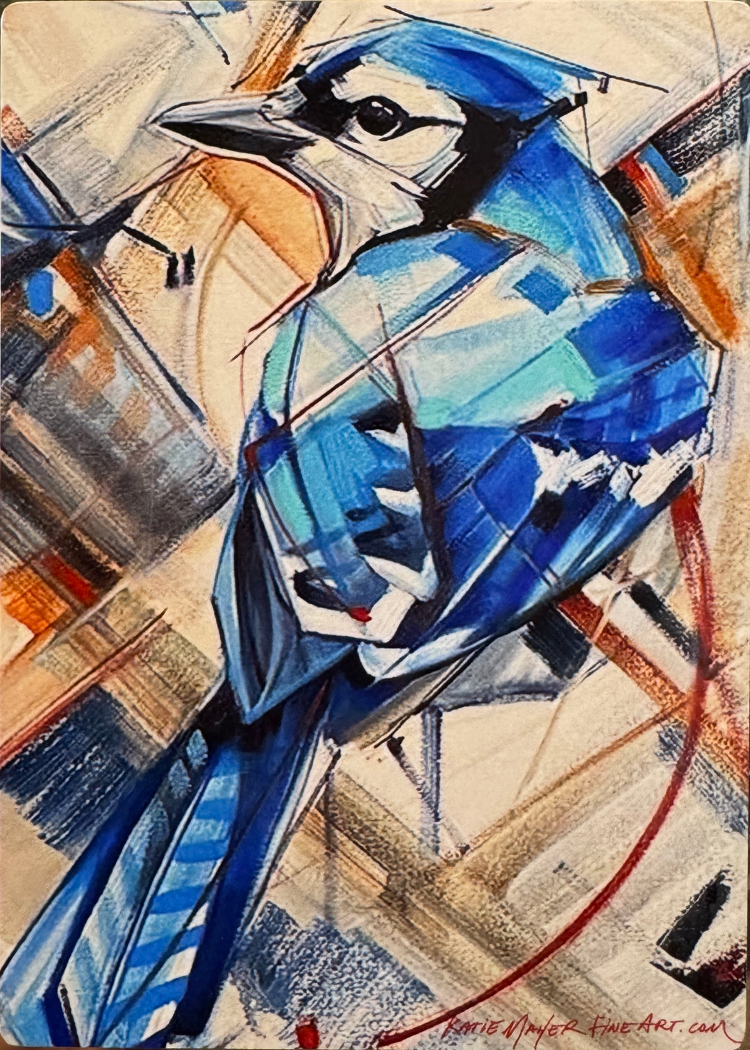 Blue Jay 5x7”
