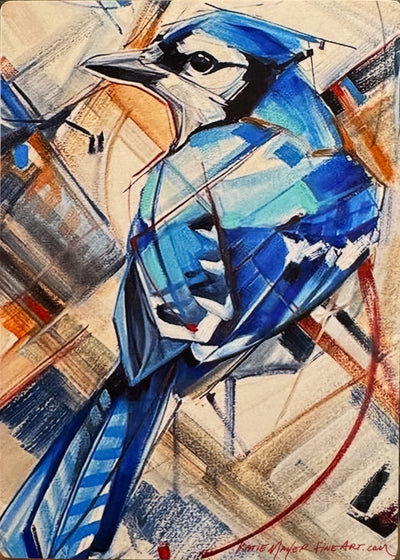 Blue Jay 5x7”