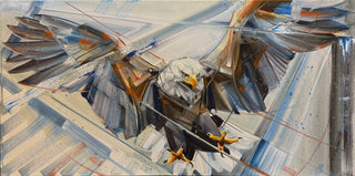 Freedom 20x40”