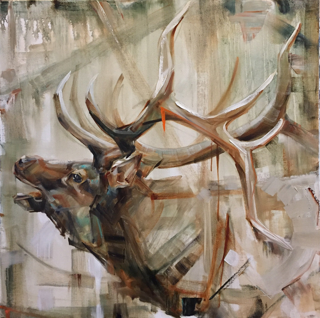 30x30"