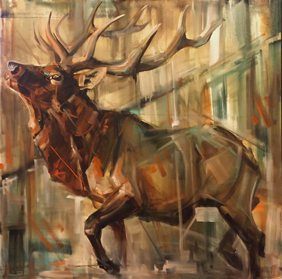 40X40"