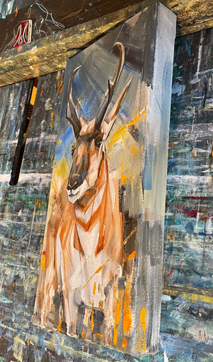 Colorado Antelope 8x16”